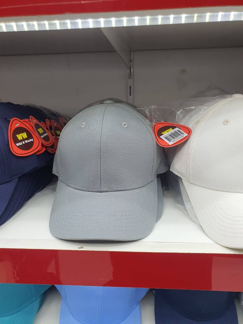 6 Panel Caps