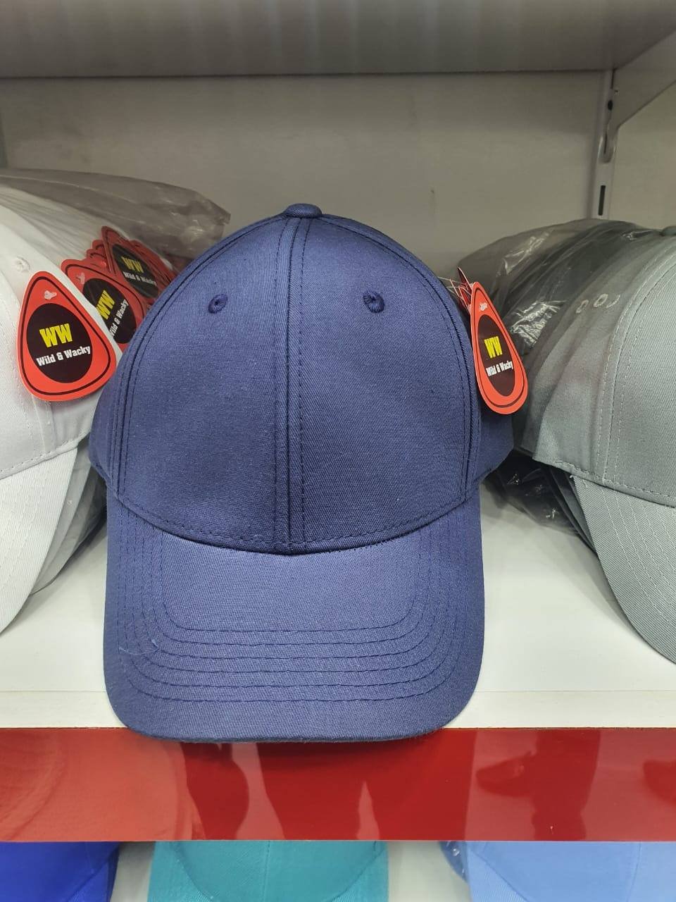 6 Panel Caps