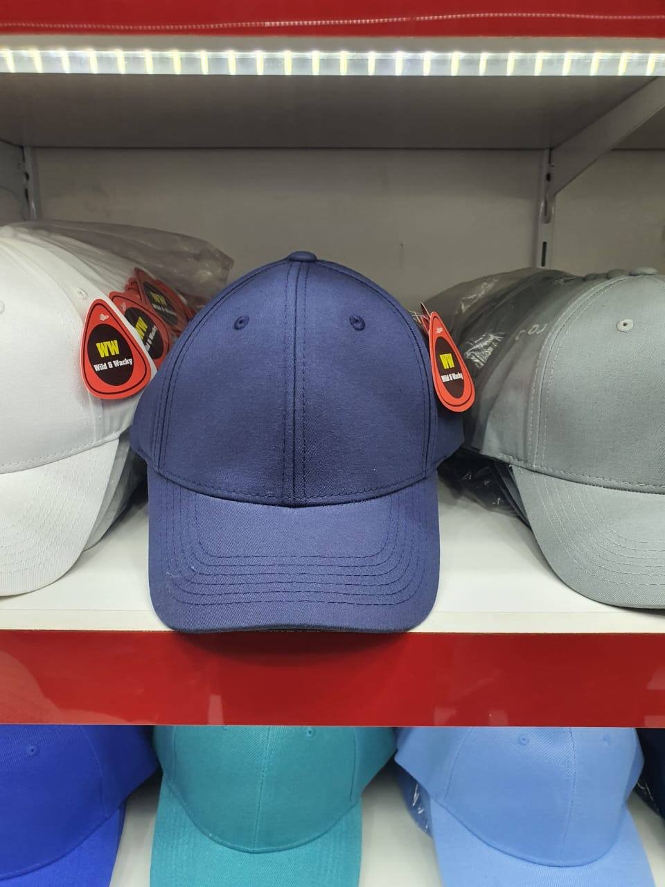 6 Panel Caps